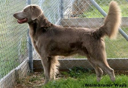 Image of Endlich Lugar zum Feldjaeger