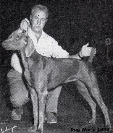 Image of Diana von Dottlyle