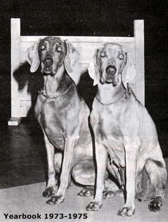 Image of Lady's Misty Moonlight