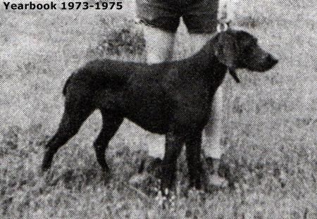 Image of Sandvold's Blue Norther