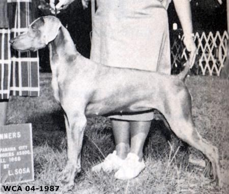 Image of Tri-D's Elka Haven