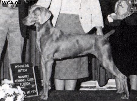 Image of Graumeir's Fortuna