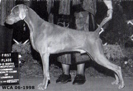 Image of Wismar's Gin Rickey Reiteralm