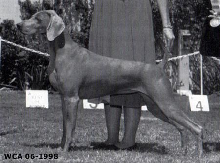 Image of Valmar's Over The Rainbow