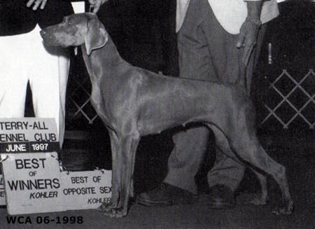 Image of Cheyenne's Raining Silver