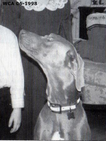 Image of Snakebreak Hogan V Reiteralm