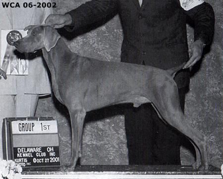 Image of Doc's LJP Of Larkol's