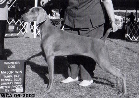 Image of Friedrich's First Tequila Sunrise