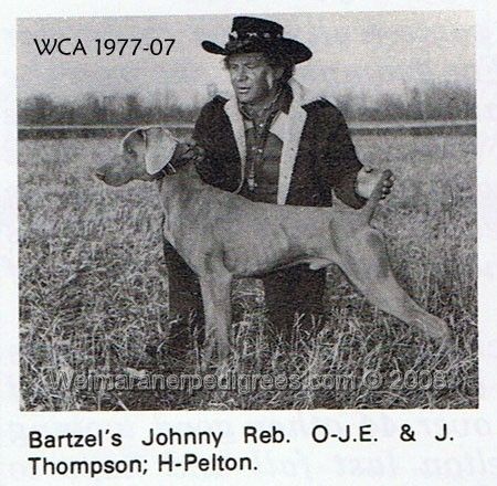 Image of Birtzel's Johnny Reb