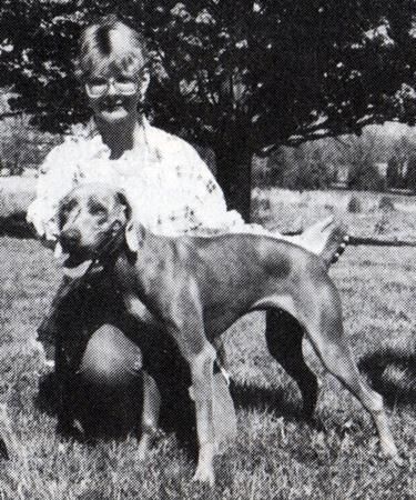 Image of Grau Geist's Konigen V Herzen