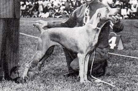 Image of Countess Bettina von Arnim