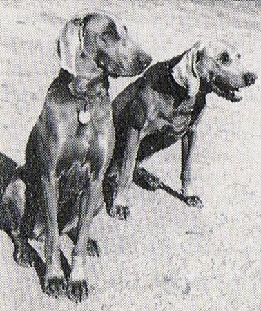 Image of Alicia aus der Rustlyne