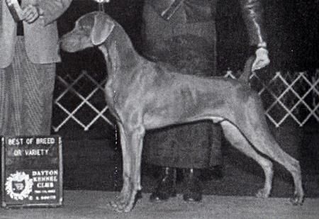 Image of Graytsky Win Affair 'N Times SQ