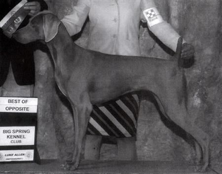 Image of Northwoods Brooke V Reiteralm