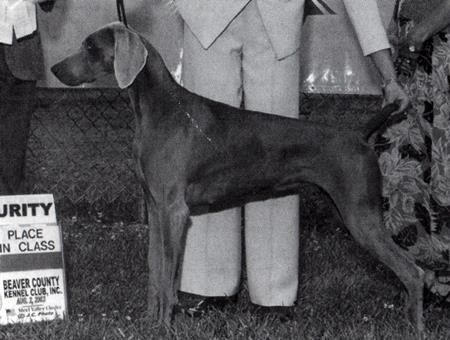 Image of Camelot's The Good Life