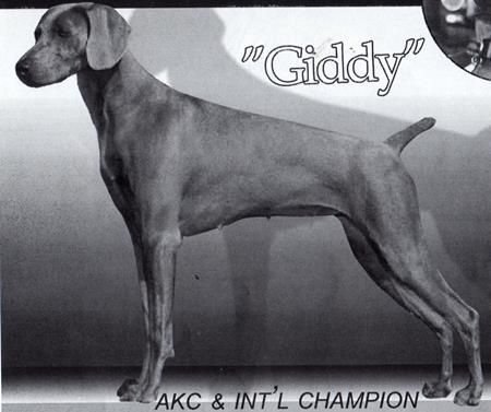 Image of Cheyenne's Sweet Intoxication