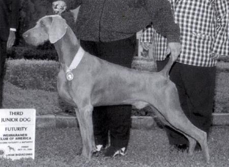 Image of Ghostmar 'N Grea Grand Slam