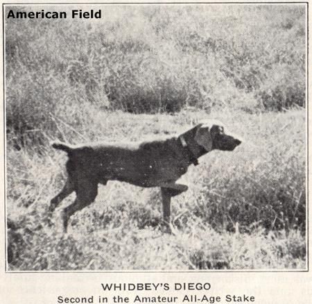 Image of Whidbey's Diego