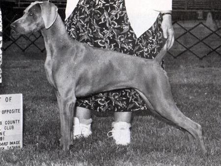 Image of Freedom Hills Bremar Galatia