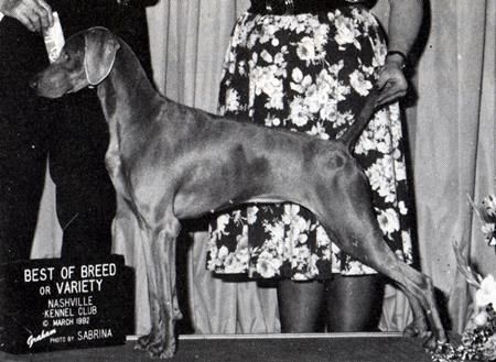 Image of Wismar's Tequila Sunshine