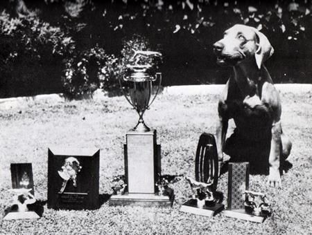 Image of Rika Quick Silver