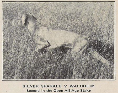 Image of Silver Sparkle von Waldheim