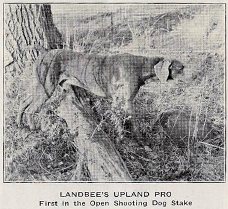 Image of Landbee's Upland Pro