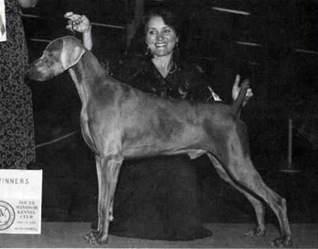 Image of Lord Duke Of Zutphen