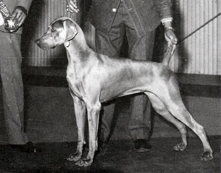 Image of Arimar's Lovely Lyric