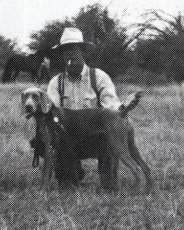 Image of Grau Geist's River City Dixie