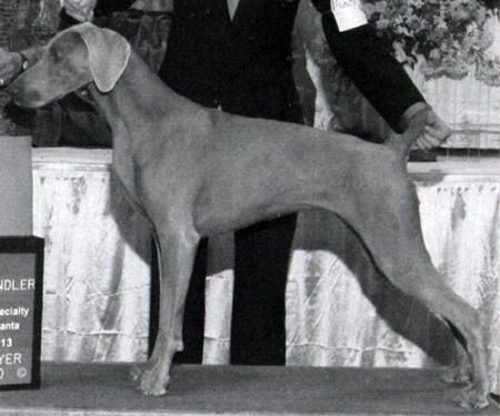 Image of Peachtree's Heavenly Path