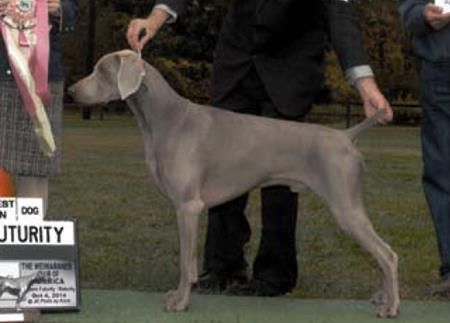 Image of Northwoods Applebees Nuttin' But Money