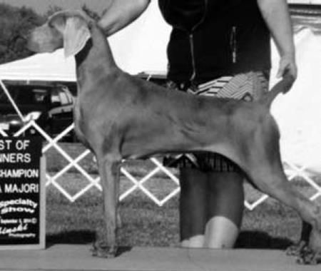 Image of Silversmith Nike Von Luchbach