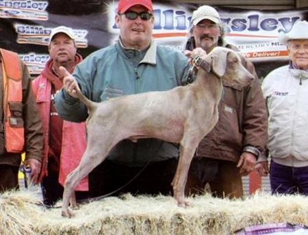 Image of Questfound Bottle Rocket