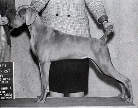 Image of Wismar's Brandy Cobbler