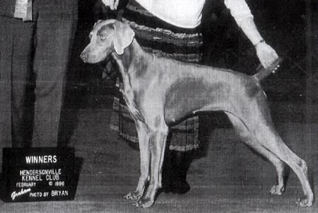 Image of Dress Me Up's All Tricked Out