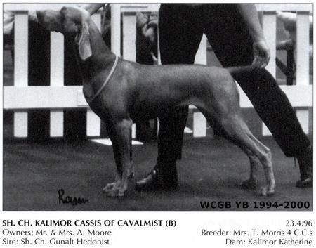 Image of Kalimor Cassis of Cavalmist