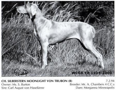 Image of Silberstern Moonlight von Trubon
