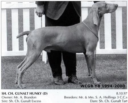 Image of Gunalt Hunky