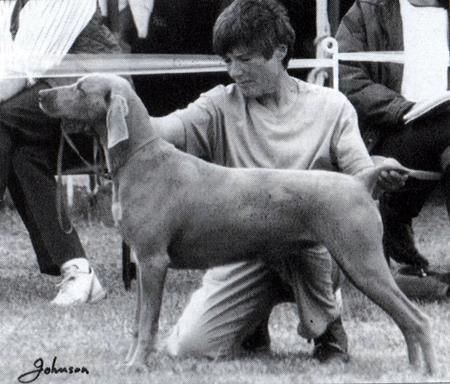 Image of Risinglark Rainbow