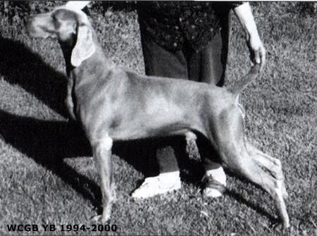 Image of Czolkins Ghosting