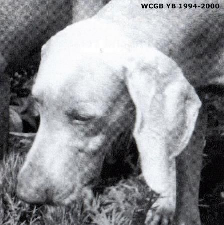 Image of Czolkins Love Letters