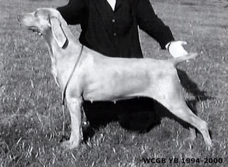 Image of Stormdancer Cherish