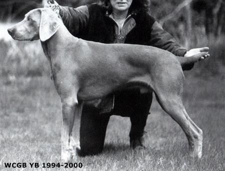 Image of Brakabreeze Goshawk