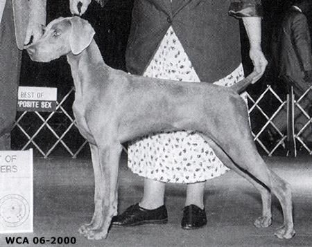 Image of Ghostmar's Grea Love Potion