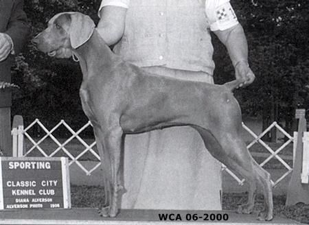 Image of Grea's Mockin Ms Greer