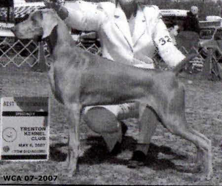 Image of Smokycity Sweet Revenge