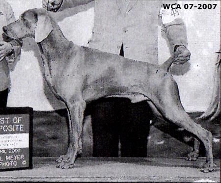 Image of Wismar's Manhattan