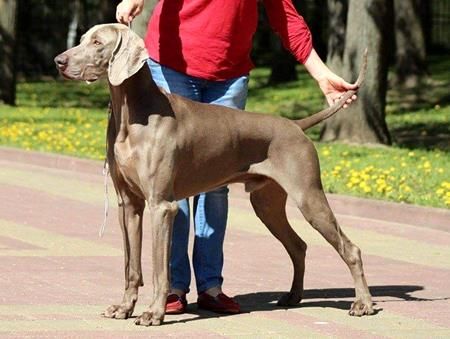 Image of Smoki Filds