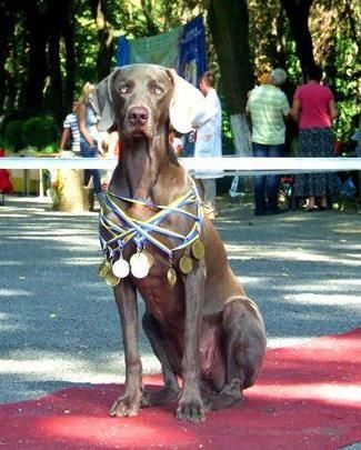 Image of Candy Latour Martillac